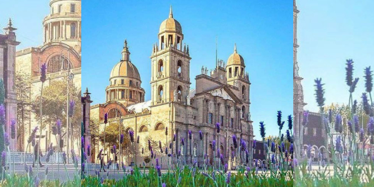 Confirman fecha de peregrinación de Toluca a la Basílica de Guadalupe -  Heraldo del Estado de México